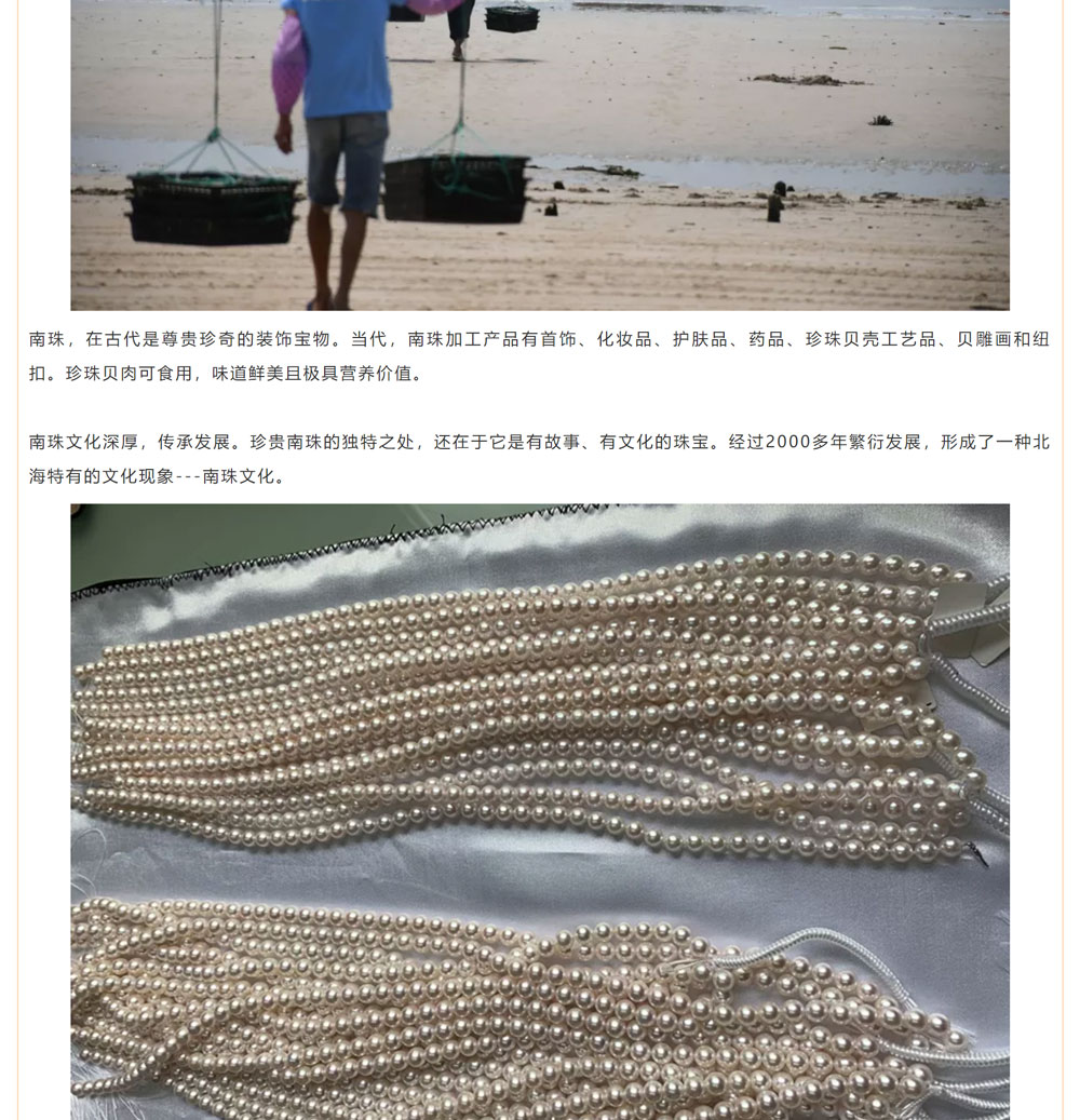 古老南珠，綻放異彩
